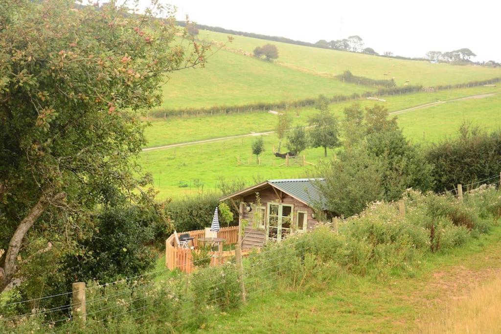 Woolcombe Cabin East Allington Luaran gambar